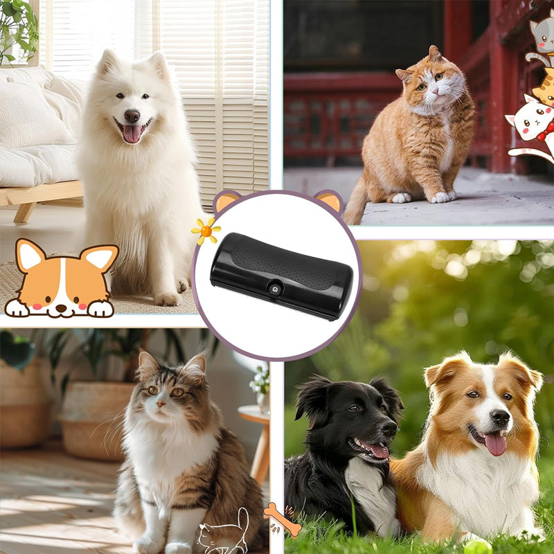 FurMaster – Für ein sauberes, glänzendes und fröhliches Haustier