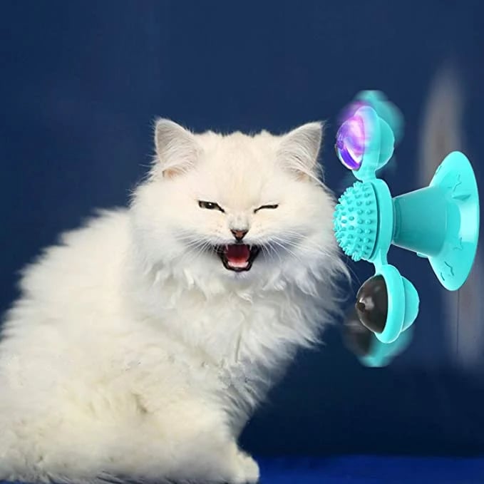 SpinPaw – Endloser Spielspaß & Bewegung für Ihre Katze!