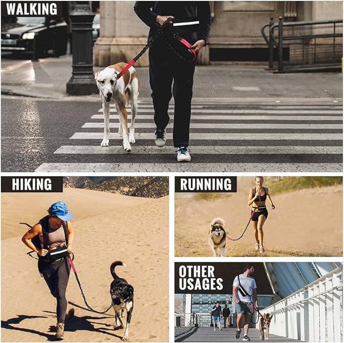 PawsFree Pro – Genieße stressfreie Spaziergänge mit deinem Hund