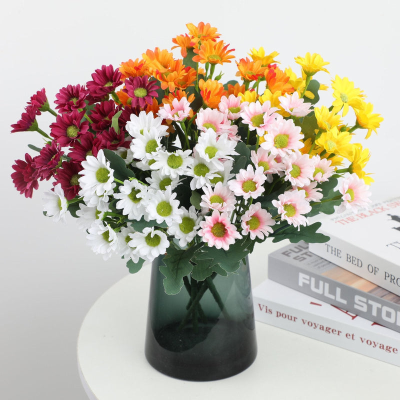 2+1 GRATIS | BloomoraSunset – Zeitlose herbstliche Pracht