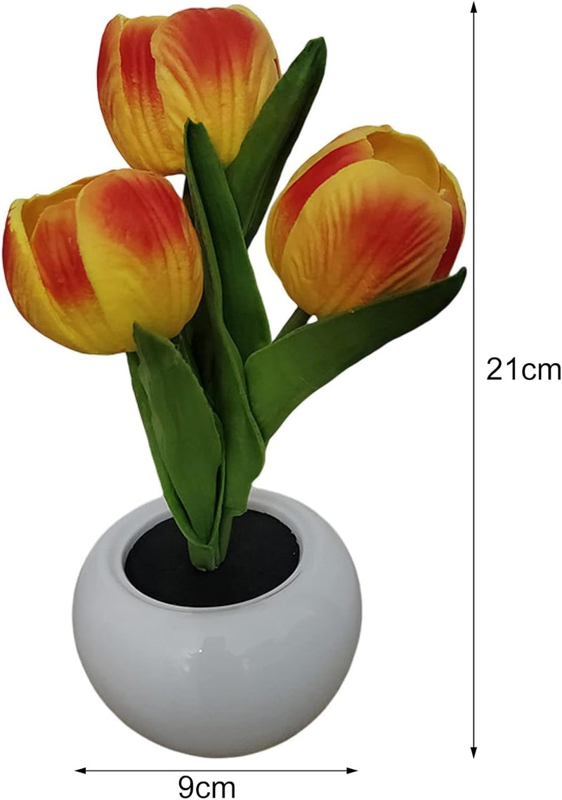 BloomTulip – Eine Verschmelzung von Romantik und Licht!