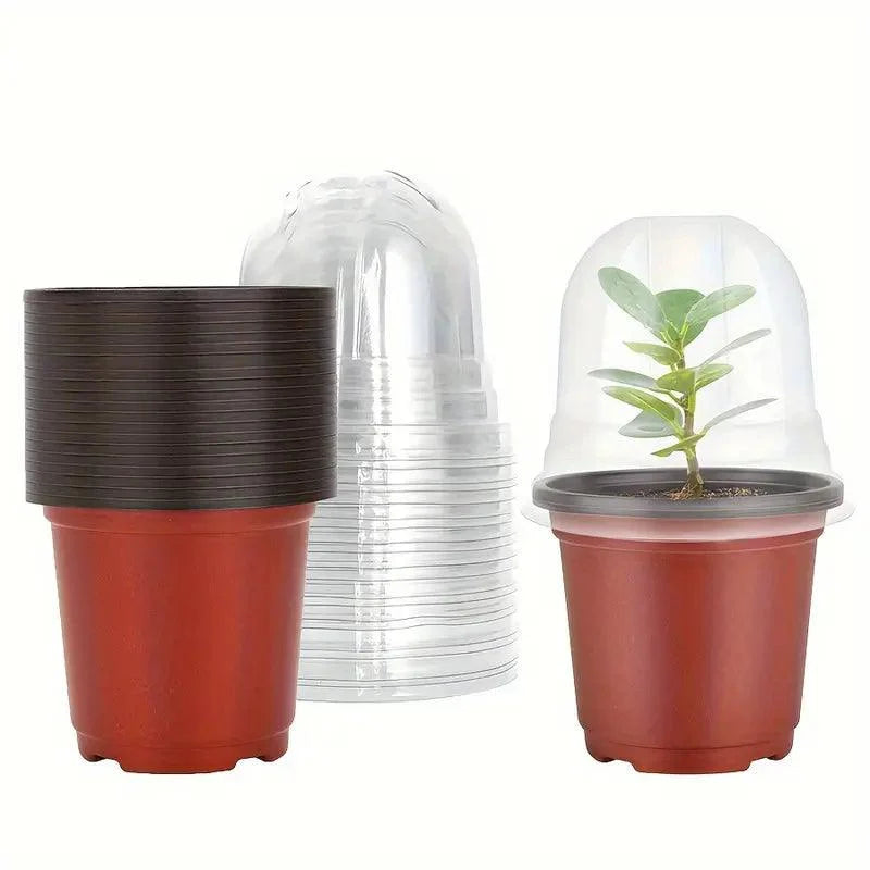 RootView Kweektöpfe | Transparent & Robust | Für gesunde Pflanzen- und Wurzelentwicklung