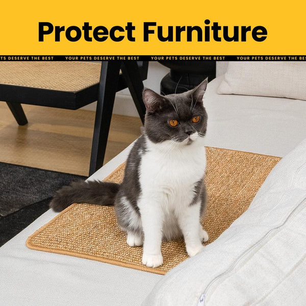 ClawGuard – Natürliche Krallenpflege, Möbel bleiben intakt!