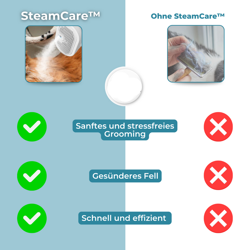 SteamCare – Sanfte Pflege, glänzendes Ergebnis