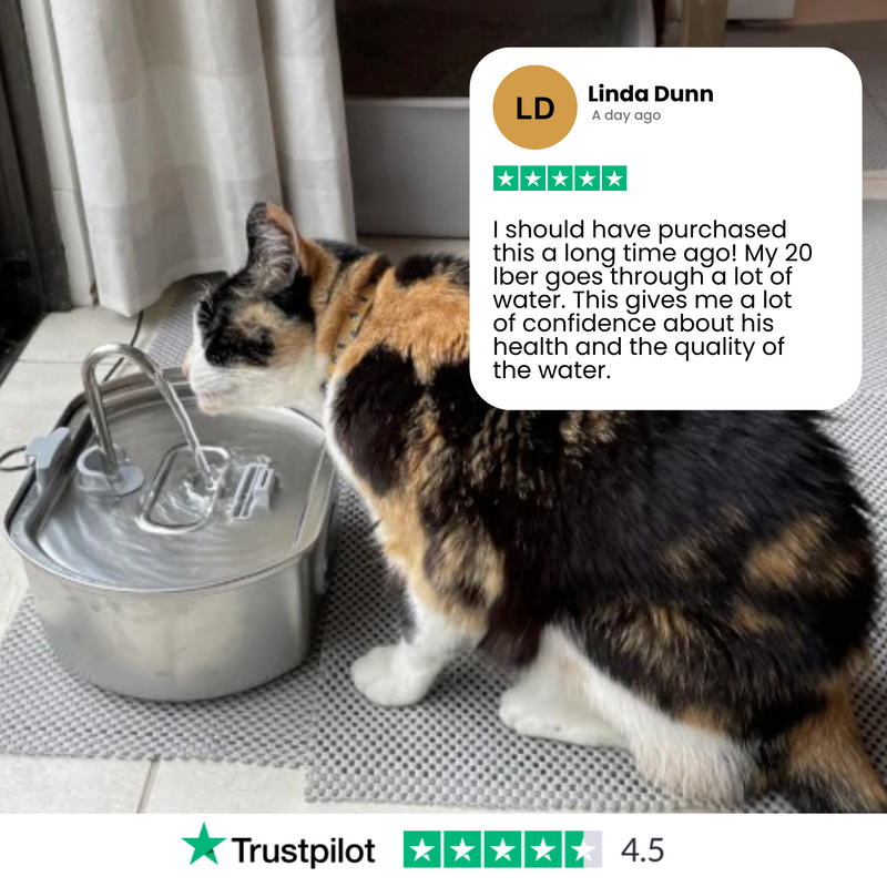 Felindra Katzen Trinkbrunnen aus Edelstahl | Fließendes Wasser für bessere Hydration | Leise & Hygienisch | 2,5 L Fassungsvermögen