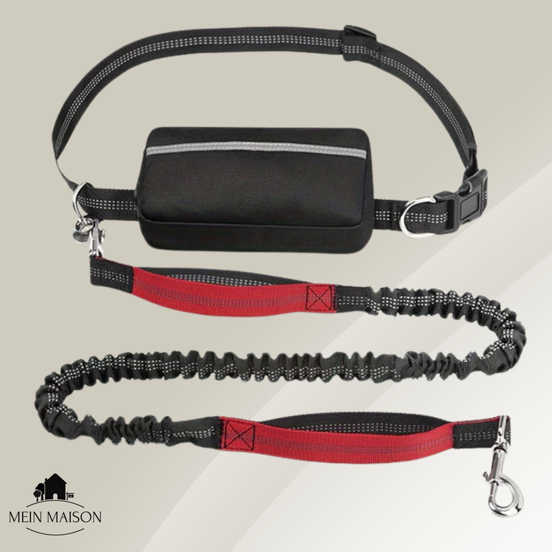 BestBuddy – Freiheit und Kontrolle bei jedem Spaziergang erleben!