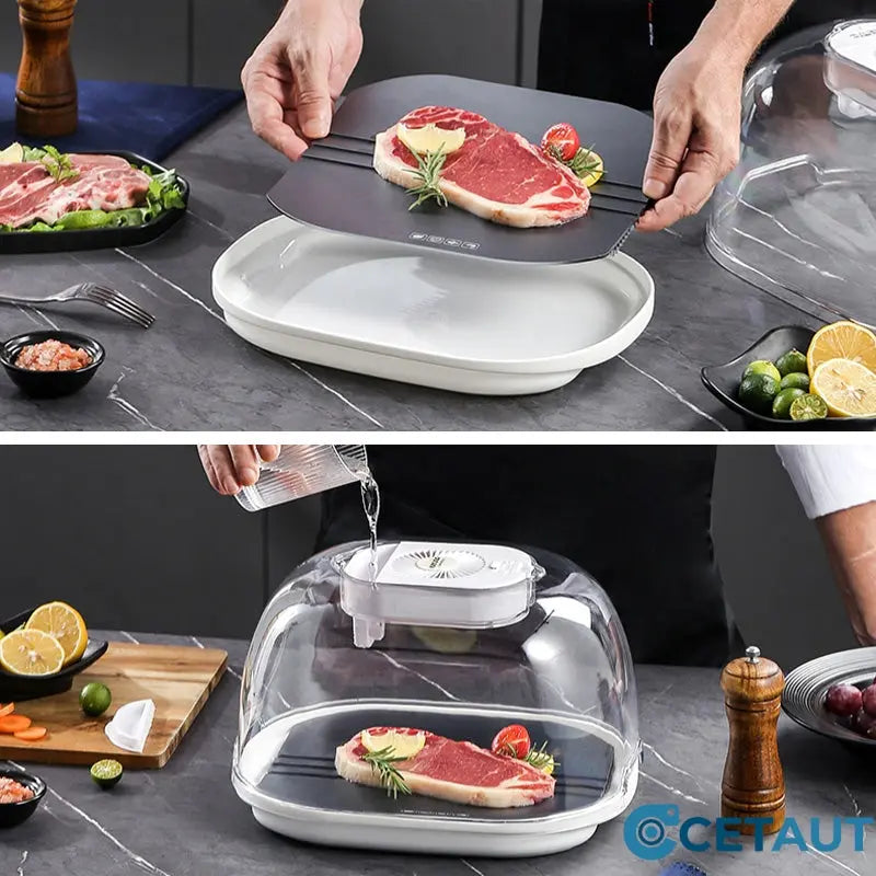 FreshThaw Pro – Auftauen von Fleisch in Minuten, nicht Stunden!