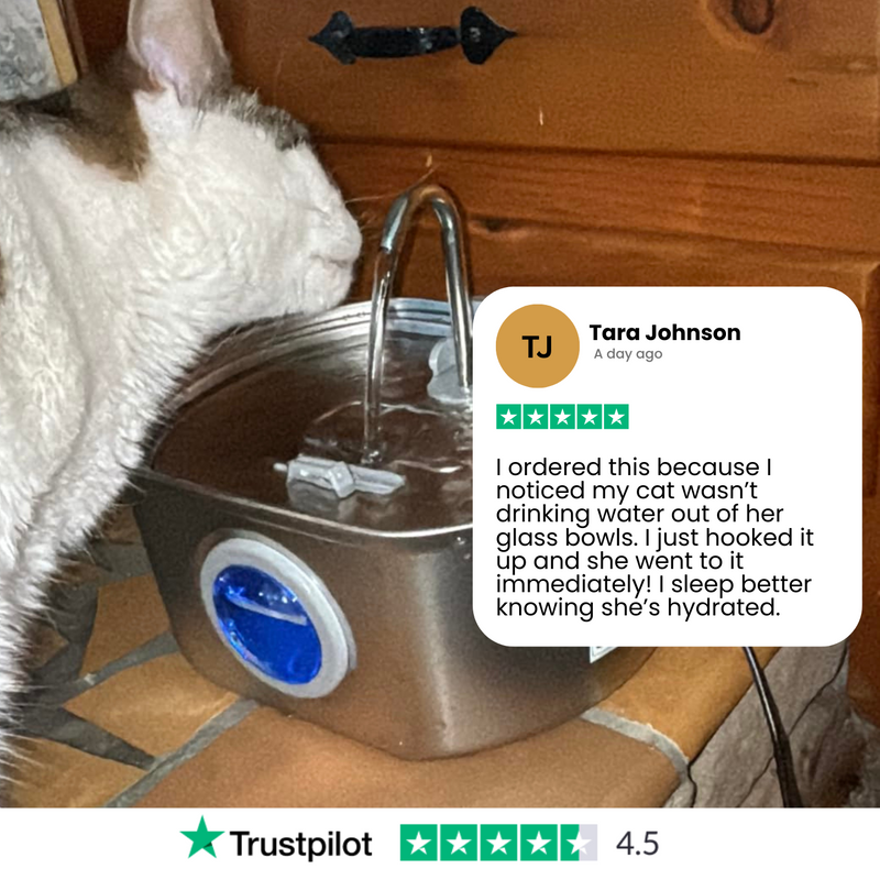 Felindra Katzen Trinkbrunnen aus Edelstahl | Fließendes Wasser für bessere Hydration | Leise & Hygienisch | 2,5 L Fassungsvermögen