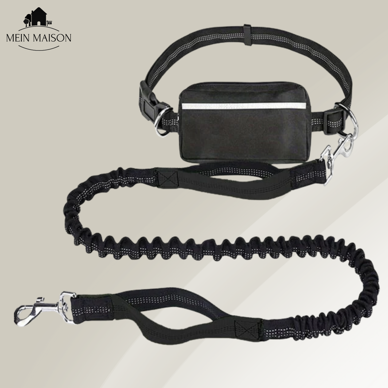 BestBuddy – Freiheit und Kontrolle bei jedem Spaziergang erleben!