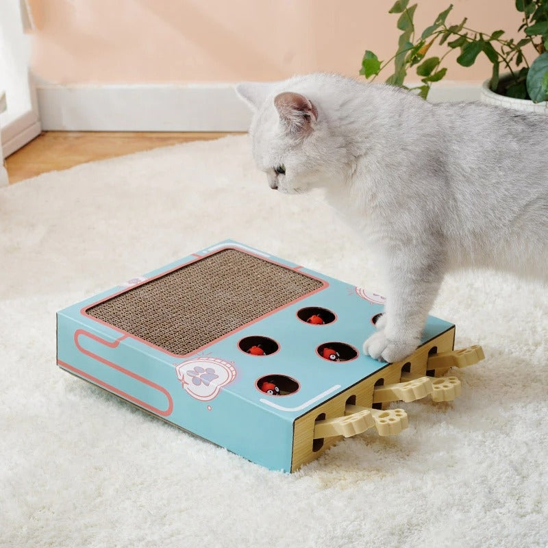 ScratchNest – Kratzen, Spielen & Chillen an einem Ort!