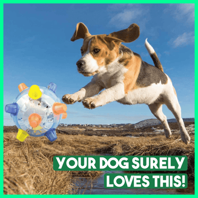 BounceBark – Der Ball, der Langeweile vertreibt