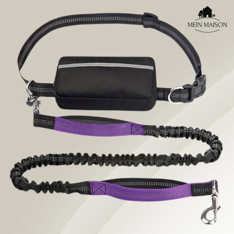 BestBuddy – Freiheit und Kontrolle bei jedem Spaziergang erleben!