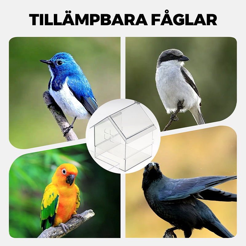 ClearFeast Vogel – Sauberes Füttern ohne Kleckern