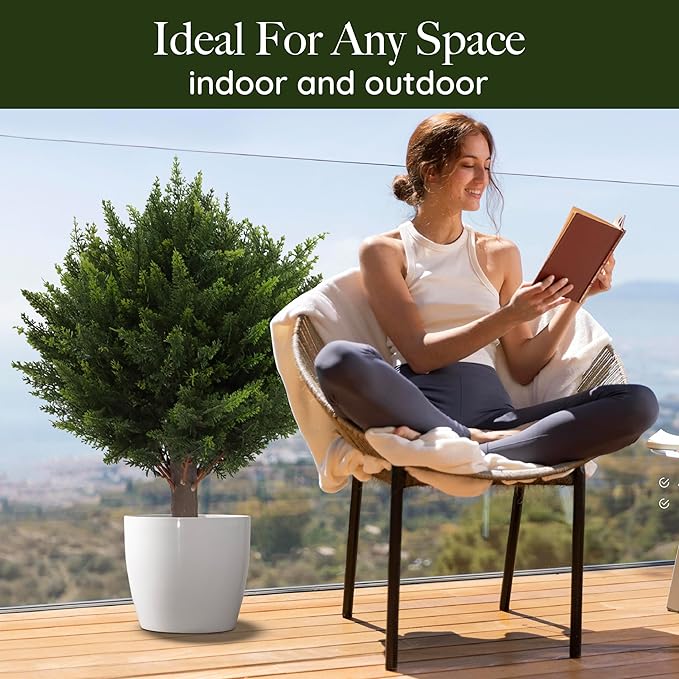 1+1 GRATIS | EverGreen – Zeitlose Immergrüne Schönheit ohne Pflege!