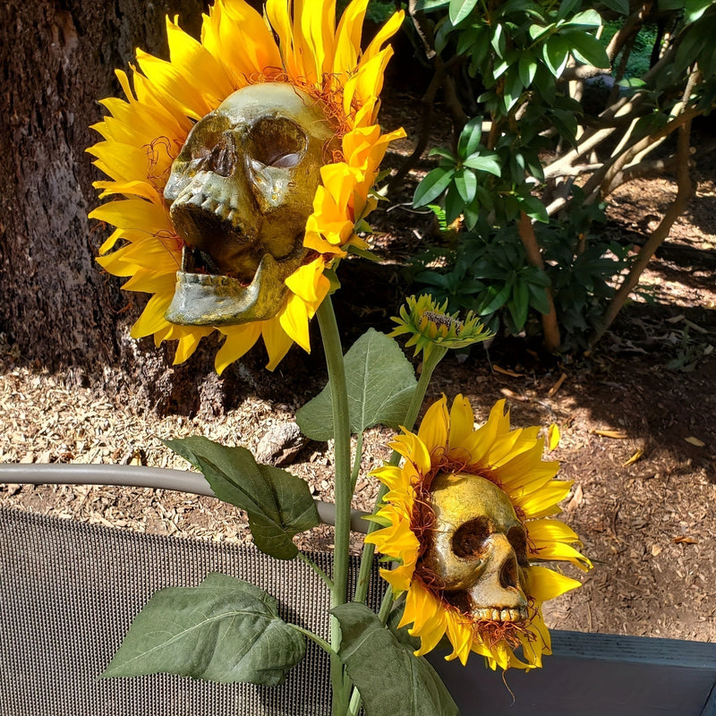 BloomSkull – Die faszinierend schöne Sonnenblume, perfekt für Halloween!