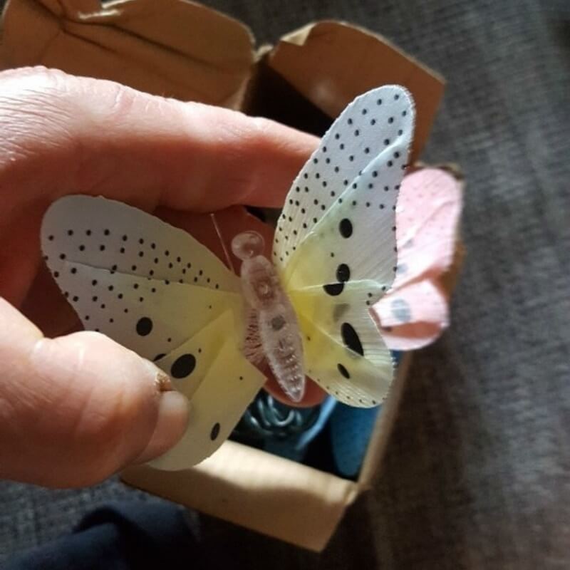 LumiWings – Verwandle deinen Garten und dein Zuhause in ein magisches Märchenreich!