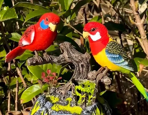 VivaBird – Der lebensechte Deko-Vogel!