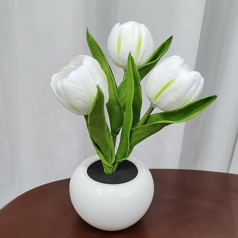 BloomTulip – Eine Verschmelzung von Romantik und Licht!
