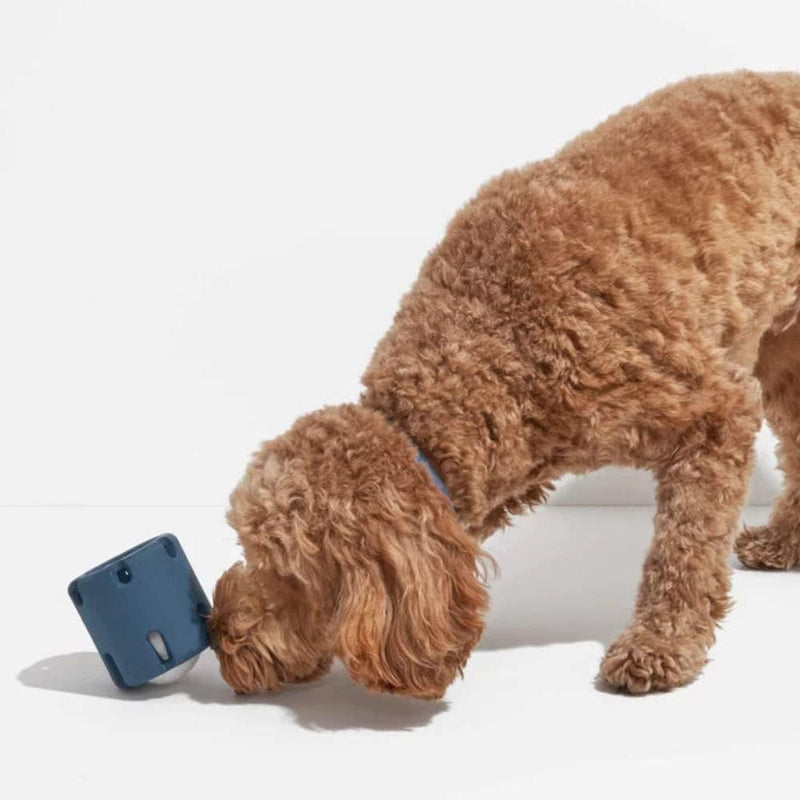 ChewJoy Pro – Gesunde Zähne, glücklicher Hund