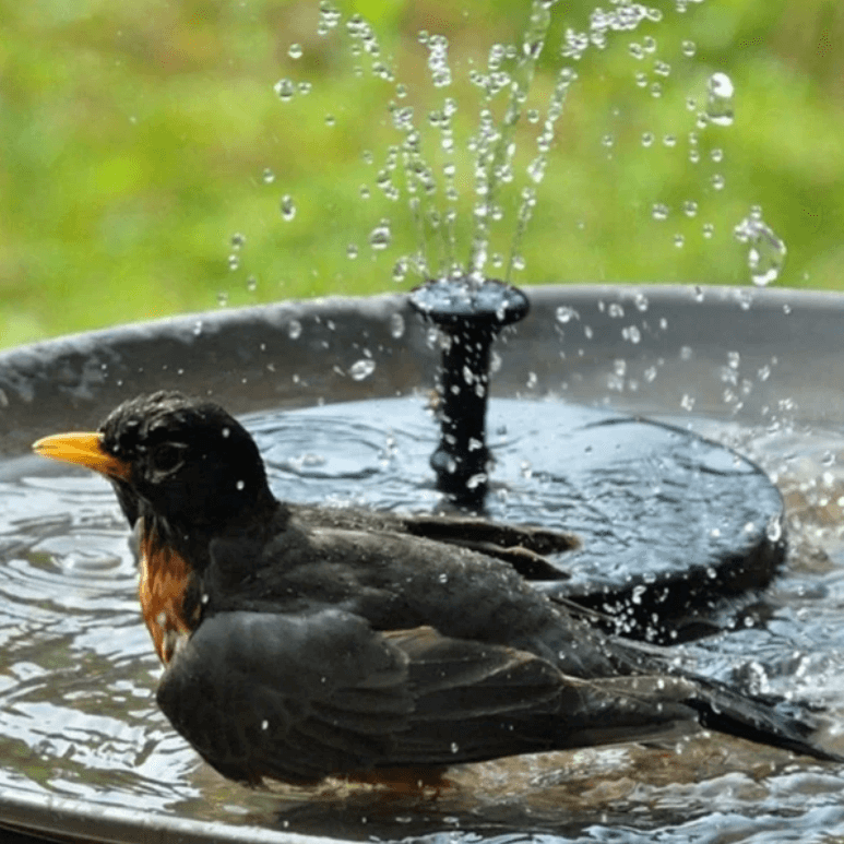WaterGlow – Solarbetriebener Brunnen mit LED und 4 verschiedenen Wasserstrahlmustern!