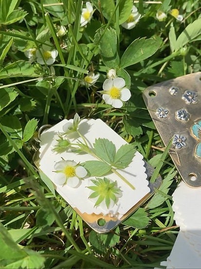 FloraKeep – Halten Sie Ihre geliebten Blumen für immer frisch!