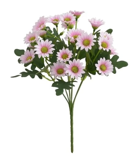 2+1 GRATIS | BloomoraSunset – Zeitlose herbstliche Pracht