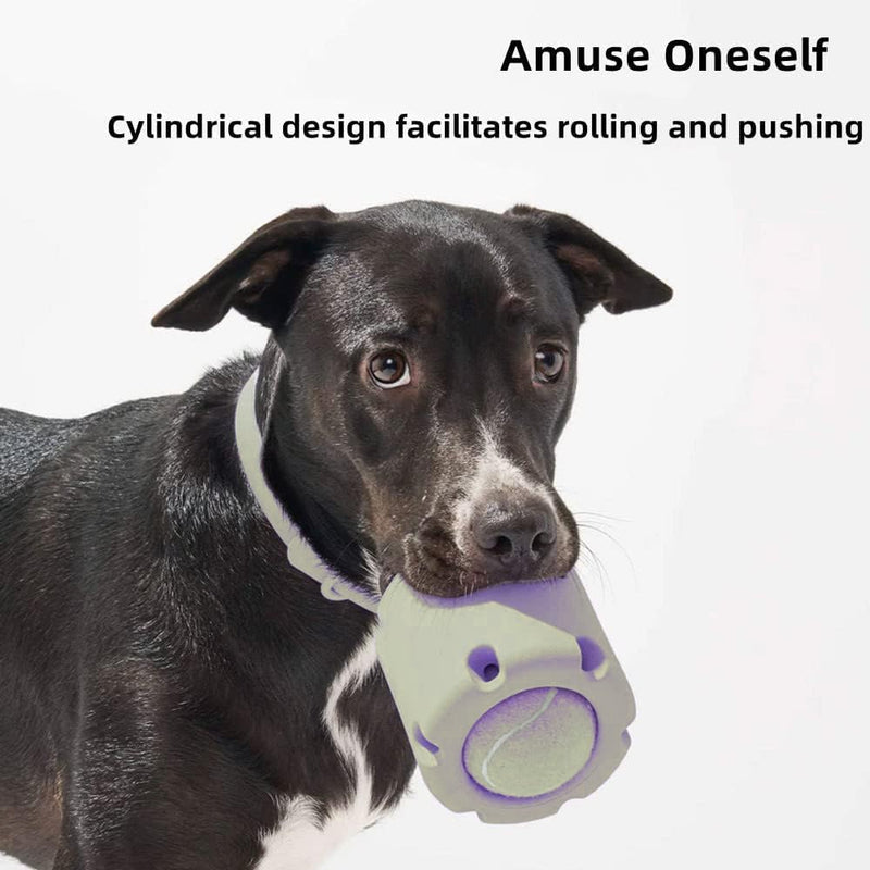 ChewJoy Pro – Gesunde Zähne, glücklicher Hund