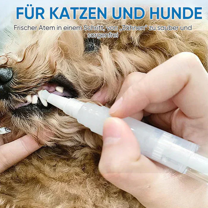 1+1 GRATIS | PawBright – Saubere Zähne, glückliches Tier!