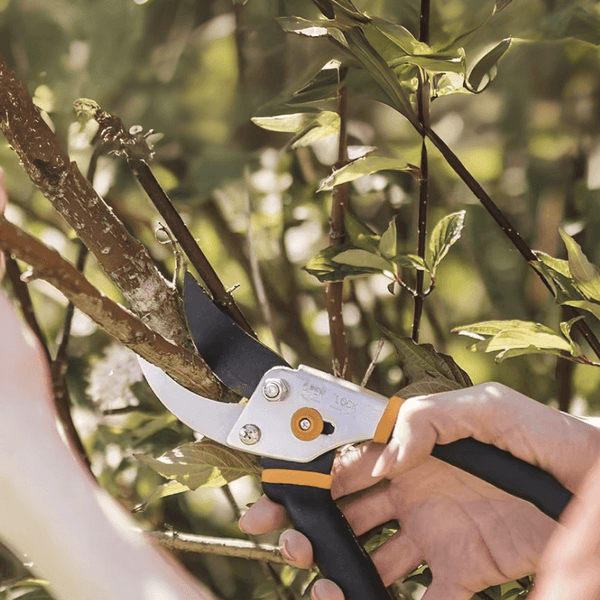 Cutivor Pro Gartenschere | Edelstahlklinge | Ergonomisch & Rutschfest | Präzision für Obstbäume & Sträucher