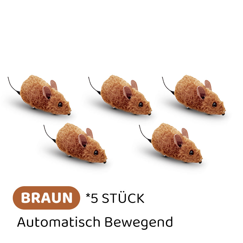 2+1 GRATIS | PawChase – Jagen, spielen, juchzen der Spaß für deine Katze!