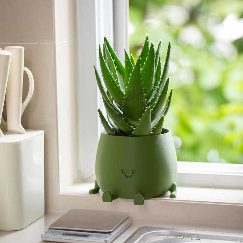 BloomBuddy – Glückliche Pflanzen, fröhliches Zuhause