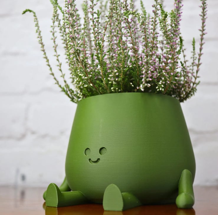 BloomBuddy – Glückliche Pflanzen, fröhliches Zuhause