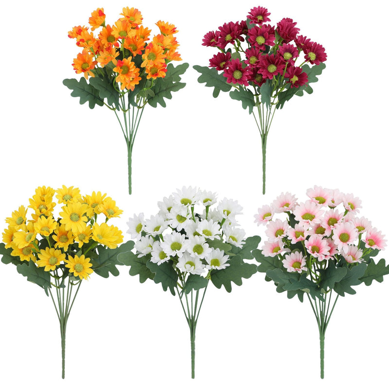 2+1 GRATIS | BloomoraSunset – Zeitlose herbstliche Pracht