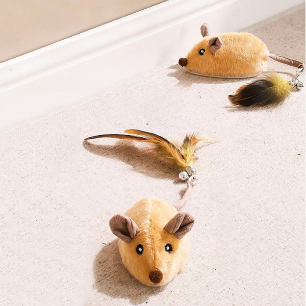 CatChase – Spannendes Jagd-Abenteuer für neugierige Katzen!