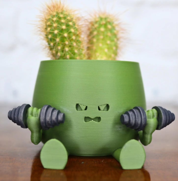 BloomBuddy – Glückliche Pflanzen, fröhliches Zuhause