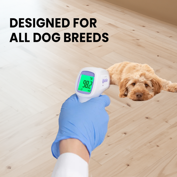 PawTemp – Stressfreie Temperaturkontrolle für Hunde!