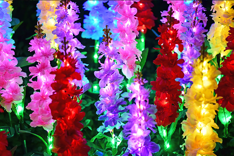 1+1 GRATIS | SonnenBlüte – Magische Solar-Gartenlichter!