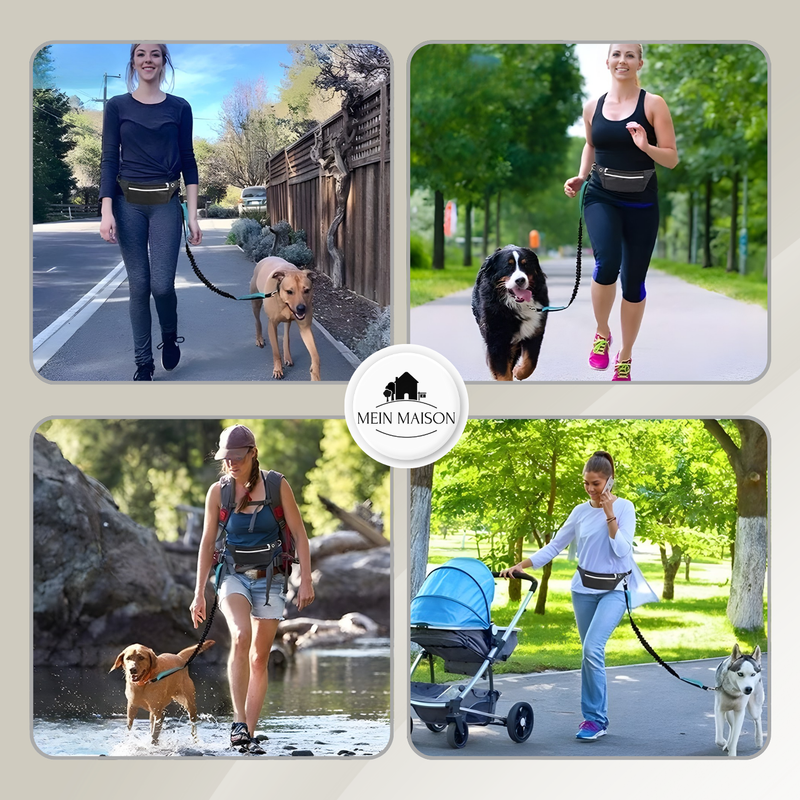 BestBuddy – Freiheit und Kontrolle bei jedem Spaziergang erleben!