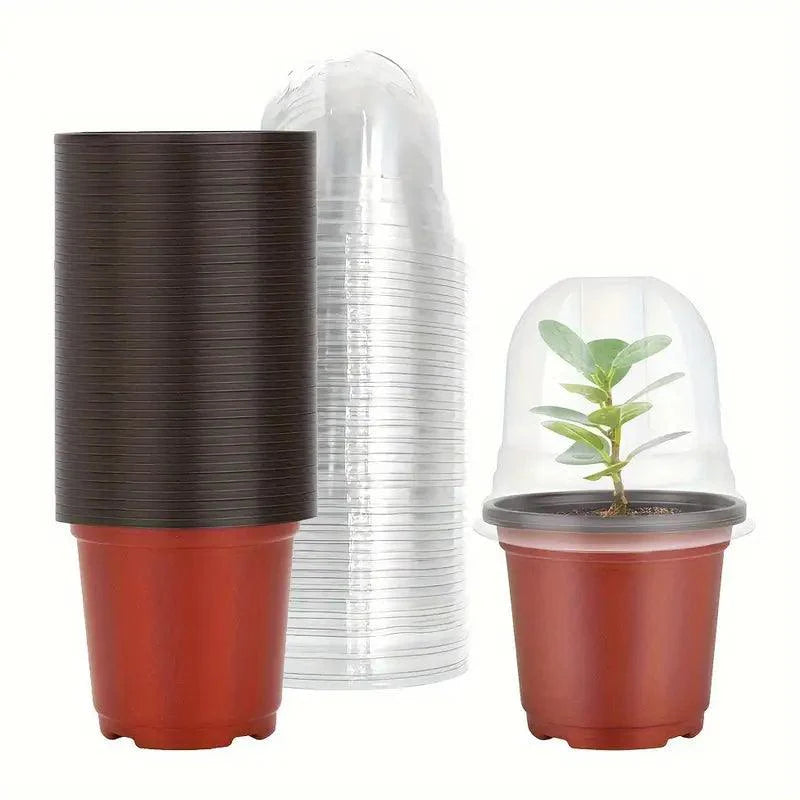 RootView Kweektöpfe | Transparent & Robust | Für gesunde Pflanzen- und Wurzelentwicklung
