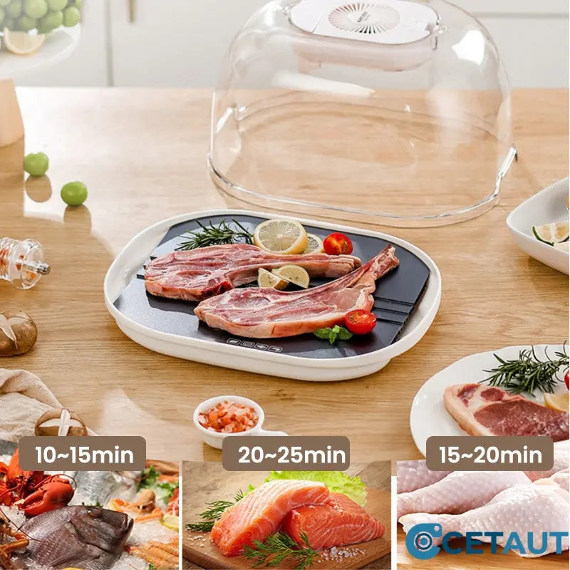 FreshThaw Pro – Auftauen von Fleisch in Minuten, nicht Stunden!