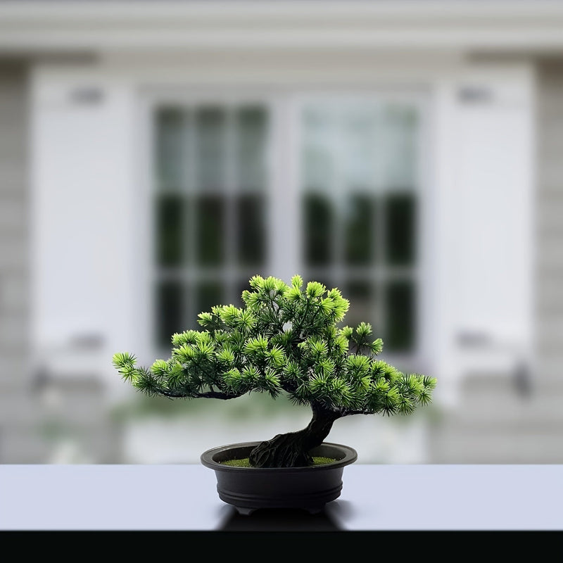 ZenFlora Bonsai | 24 cm | Immergrün & Pflegefrei | Mit Schwarzem Topf