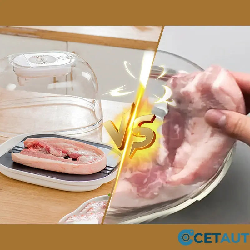 FreshThaw Pro – Auftauen von Fleisch in Minuten, nicht Stunden!