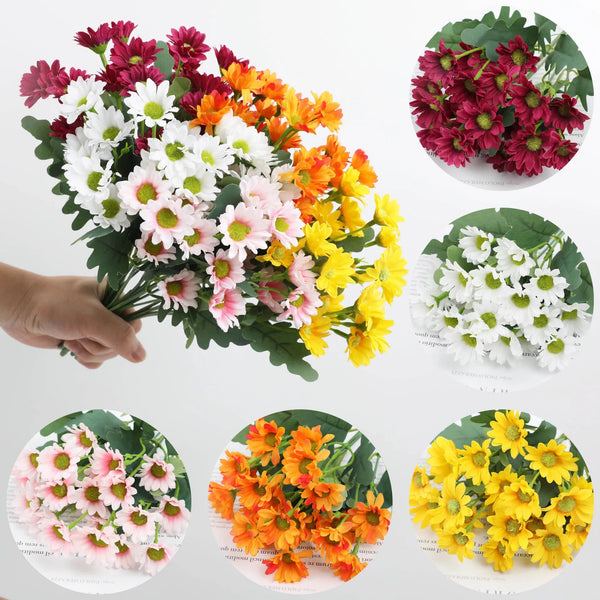 1+1 GRATIS | EverDaisies – Zeitlose Strahlkraft, die bleibt!