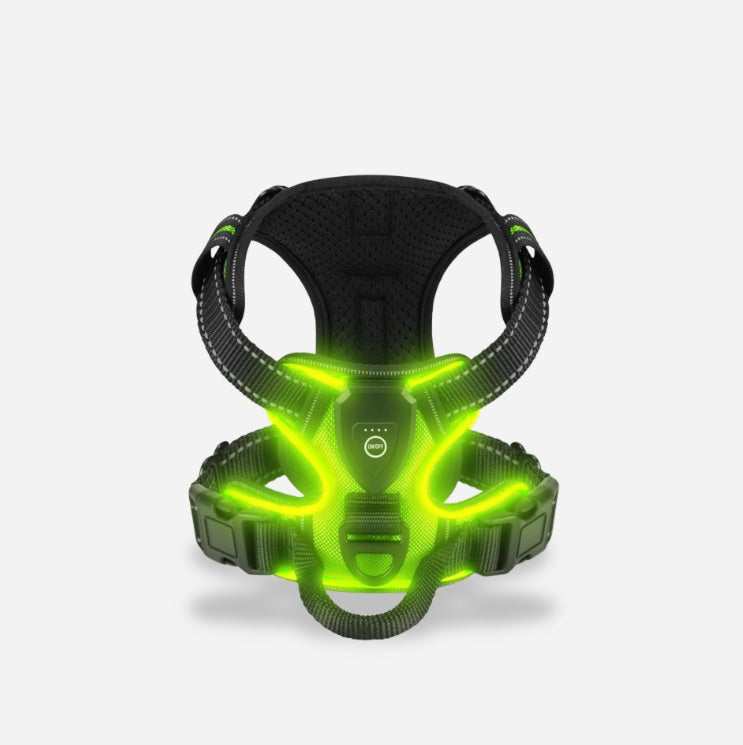 PawGuard – Sicher und Trendig Spazierengehen!