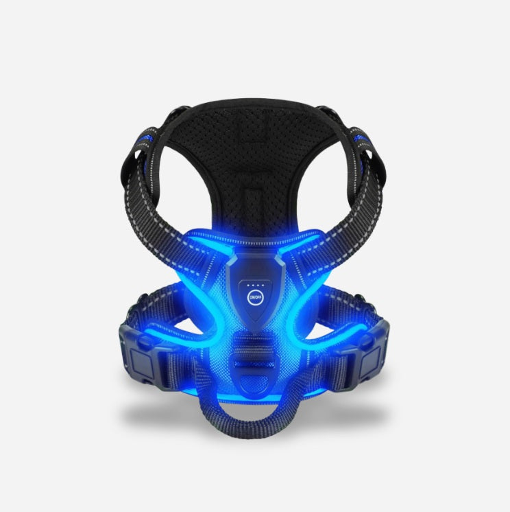 PawGuard – Sicher und Trendig Spazierengehen!