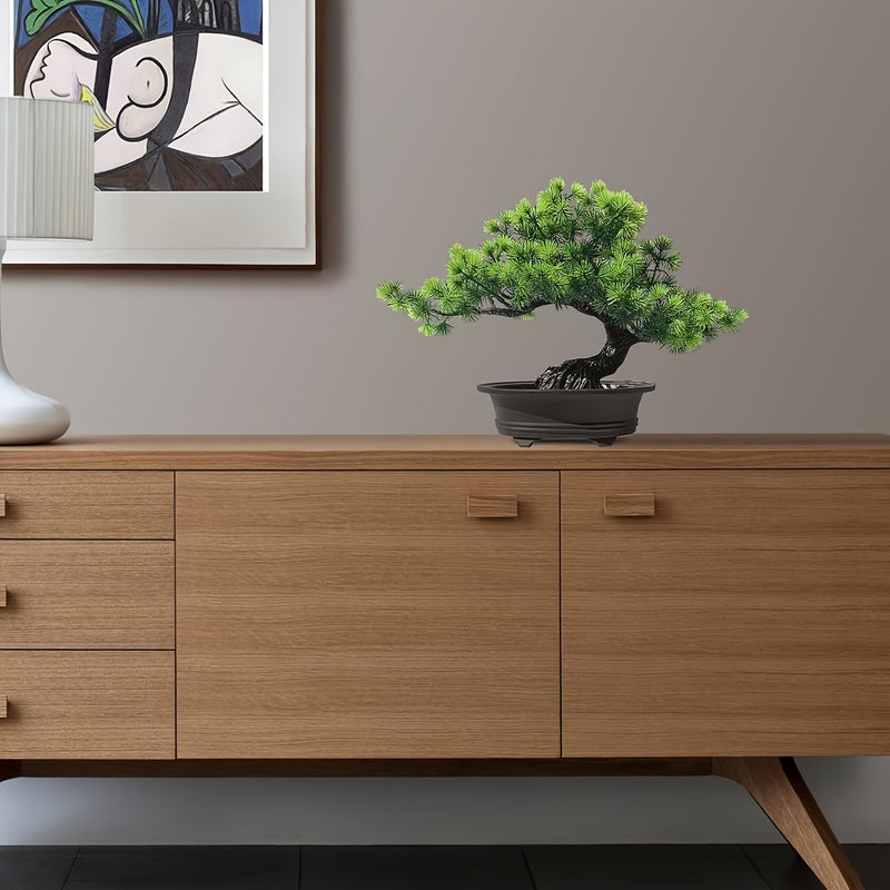 ZenFlora Bonsai | 24 cm | Immergrün & Pflegefrei | Mit Schwarzem Topf