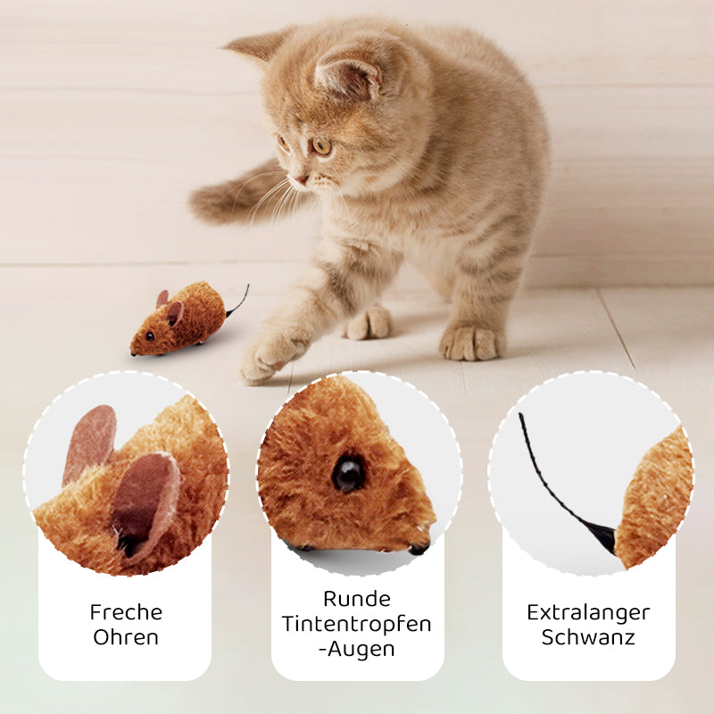 2+1 GRATIS | PawChase – Jagen, spielen, juchzen der Spaß für deine Katze!