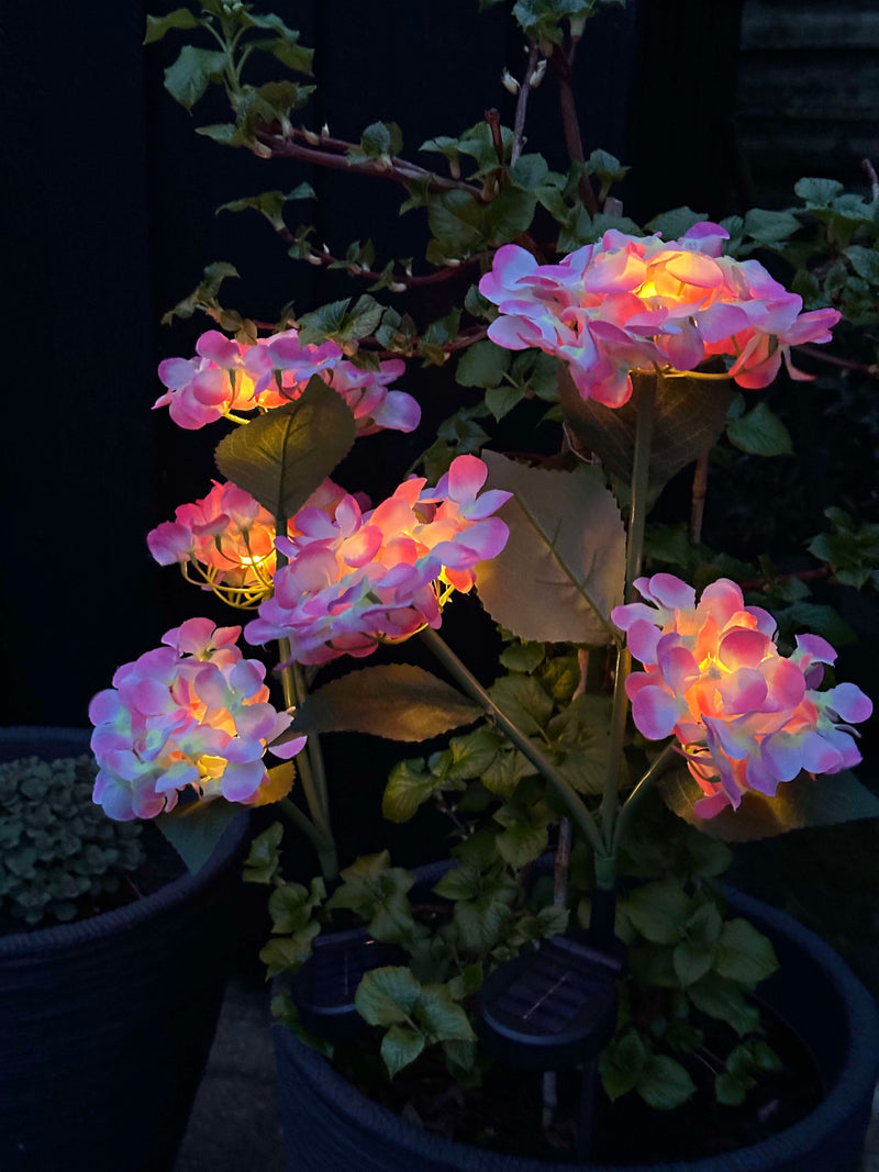 GlowFlora – Dein Garten beginnt zu leuchten!