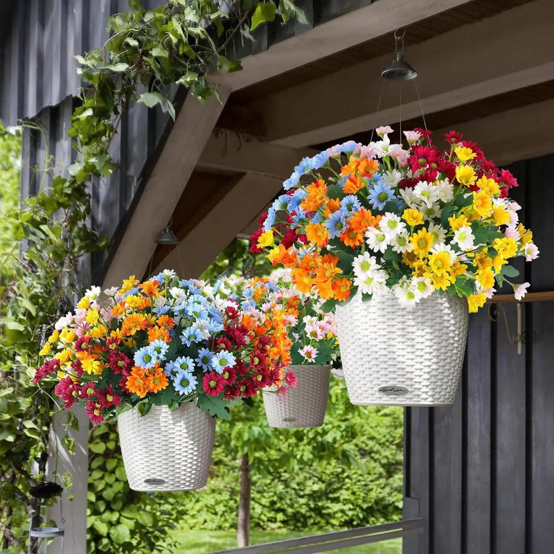 1+1 GRATIS | EverDaisies – Zeitlose Strahlkraft, die bleibt!