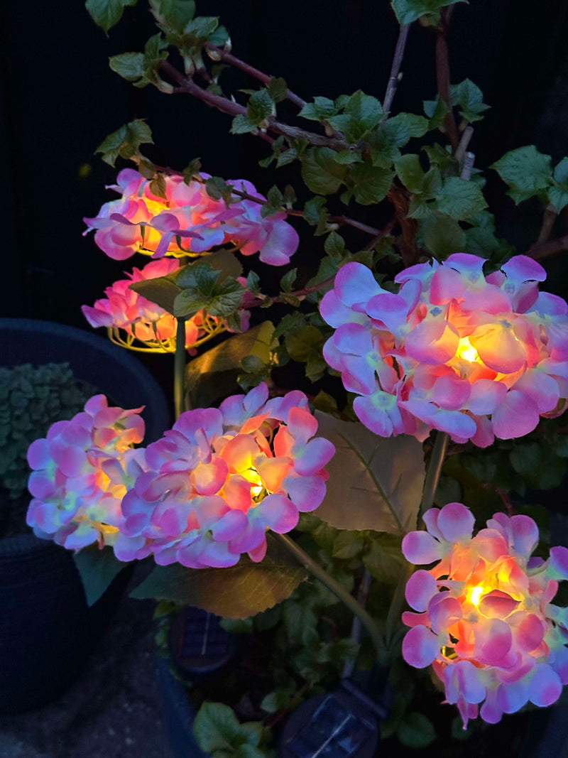 GlowFlora – Dein Garten beginnt zu leuchten!